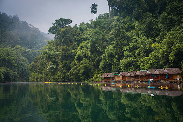 KIBO Thailandia Khao Sok. BB h10 jpg